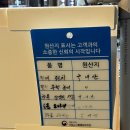 봉곡시장 | 창원 방어 맛집 봉곡시장 통영회센터 12월 방어 예약 후기 내돈내산