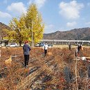 달산면사무소 이미지