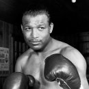 어른을 위한 그림책 인문학 이미지