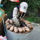 천지를 못 올라갔던 백두산 여행기(5)...선양에서 통화까지 4시간을 옥수수밭을 보면서 가다. 이미지