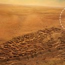 밀 마당 이미지