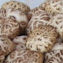 죽마을지산점 이미지