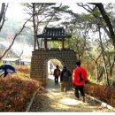 솔마루길 대공원산 Daum카페