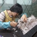 멍냥멍냥 미용실 이미지