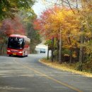 무주한우전문점 이미지