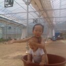 송한농장 이미지