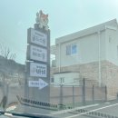 체리몽애견풀빌라 이미지