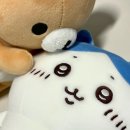 청신 이미지