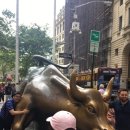 황소밧데리 이미지