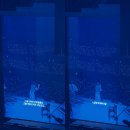 무지개체육관 | 미쳤읍니다. 잔나비 콘서트 [모든소년소녀들] 후기🎸⚡️ | 잠실실내체육관 3층시야 | 셋리있음 | 스포있음