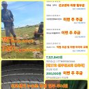 할렐루야타이어 이미지