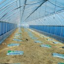 가온농장2 이미지