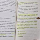 델리아 이미지