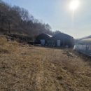 괴산군불정면세평보건진료소 이미지