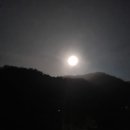 숲속의하얀집 이미지