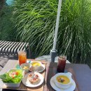 그린 낚시터 | 피콕그린 방문 후기 🌿 일산 감성 정원카페 솔직 후기