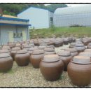 농업회사법인 정이가(주)