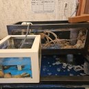 착한낙지(수성점) 이미지