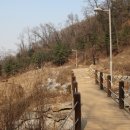 우면산3-27 이미지