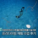 쉴위훌라 | 프리다이빙 체험후기 | 수원 월드컵경기장 다이빙풀 다비이즈프리 내돈내산 후기 (비용, 주차, 시설 꿀팁)