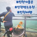 북도면신도바다역 관광안내소 | 추석 연휴 여행지, 서울 근교 인천 명소 10곳 소개