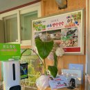 UR(의정부시)-[평화로]-상-214 | 경기 : 양주 리후캠핑식당 / 서울 근교 바베큐장