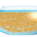 금붕어PC 이미지