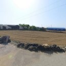 제주올레공인중개사사무소 이미지