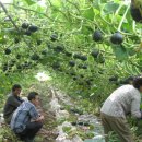 해남군농업기술센터 이미지