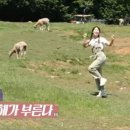 보물섬그리다 이미지