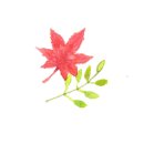 리민행정사 사무소 이미지