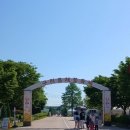 유채꽃향기처럼 | 구리 토평동 가볼만한곳 / 구리한강시민공원 구리 유채꽃축제 후기