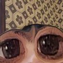 정수인미용실