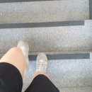 신협헬스타운 | 제주헬스장 노형동 편하게 운동하러가기좋은 신협헬스타운 내돈내산솔직한후기