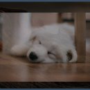 모원재 | 모원재 방문 후기: 자연 속의 평화로움과 휴식