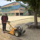 대일초등학교 이미지