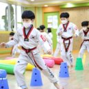 미리내태권도체육관 이미지