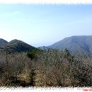 백운산가든 이미지