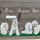 은퇴한 수의사의 저택 이미지