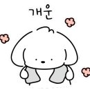 행정크린 이미지