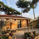 솔토락펜션 이미지