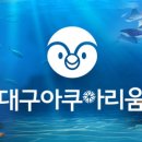 렙타일 월드 네이버블로그