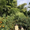 예래작은숲 이미지