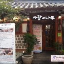 사람과나무 이미지