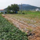 남해-284 이미지