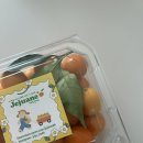 낑깡이랑 | 제주금귤 500g 후기 🍊 제주금귤농장 금귤, 제주안에 금귤 낑깡으로 금귤정과까지