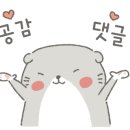 신산초교(병설) 이미지