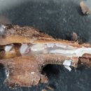 생물자원연구소 이미지