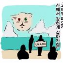 헤세드 이미지
