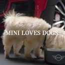 미니(mini) 이미지